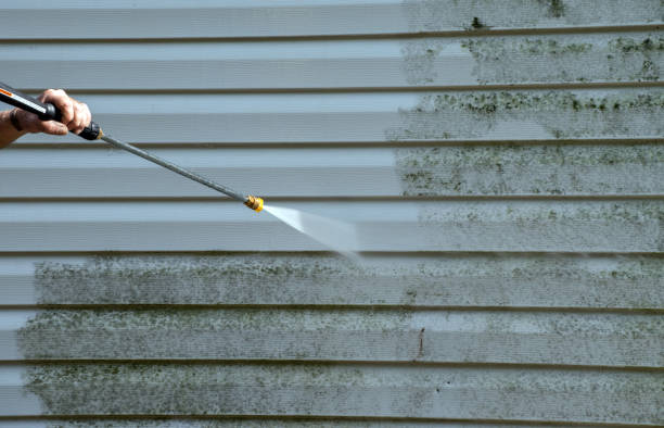 Best Roof Power Washing Services  in Dalton, OH